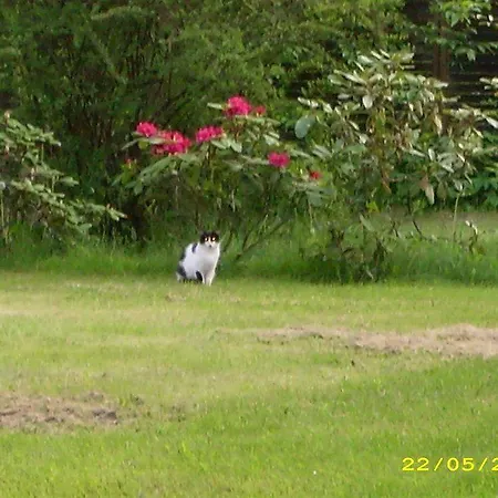 沃德池克罗斯坦酒店 酒店