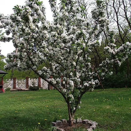 沃德池克罗斯坦酒店 米滕瓦尔德