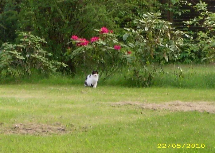Waldschloesschen Hotel