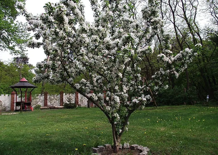 Waldschloesschen ميتنفالدة